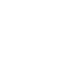 Lith Token